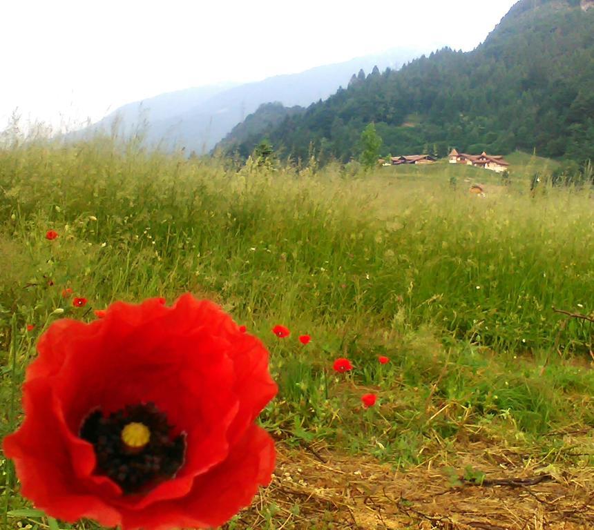 브레구초 Agritur Cornasest B&B 외부 사진